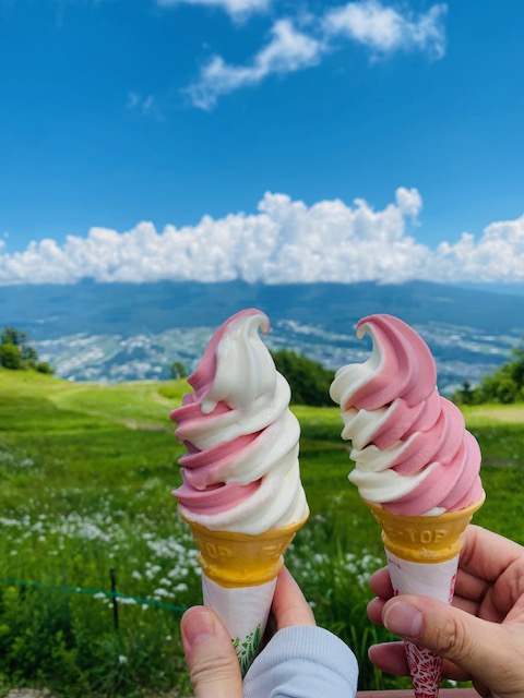 スズランで有名な入笠山からの景色