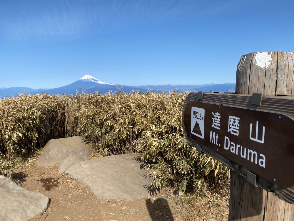 達磨山頂上から望む雪をかぶった富士山と山頂標識