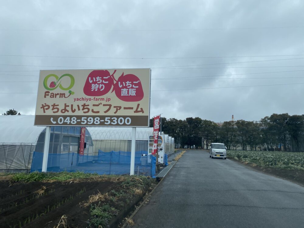 埼玉県深谷市にあるいちご狩り、いちご直販のやちよいちごファームの看板