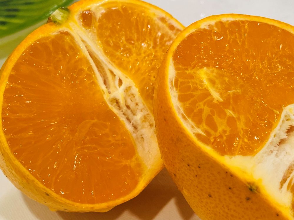 みずみずしい「せとか」の断面。果汁があふれそうな様子