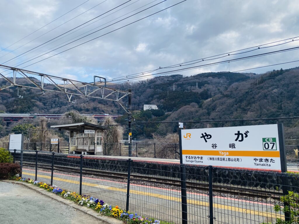 JR谷峨駅から大野山の山頂がみえる様子
