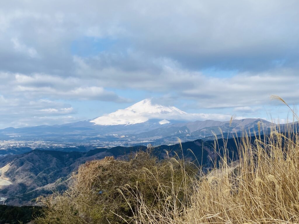 大野山からの絶景の富士山
