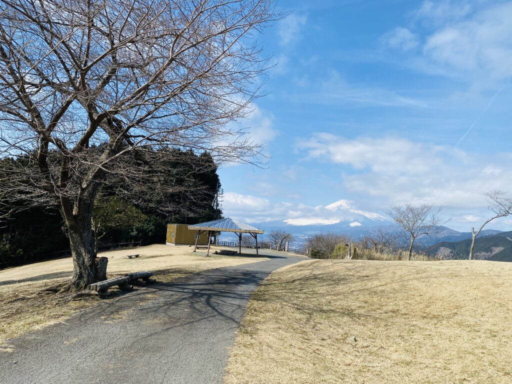大野山山頂の様子
