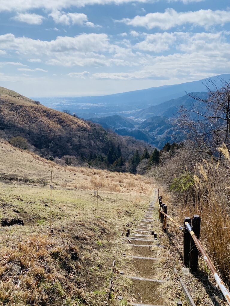 大野山の階段が続く下山道の様子
