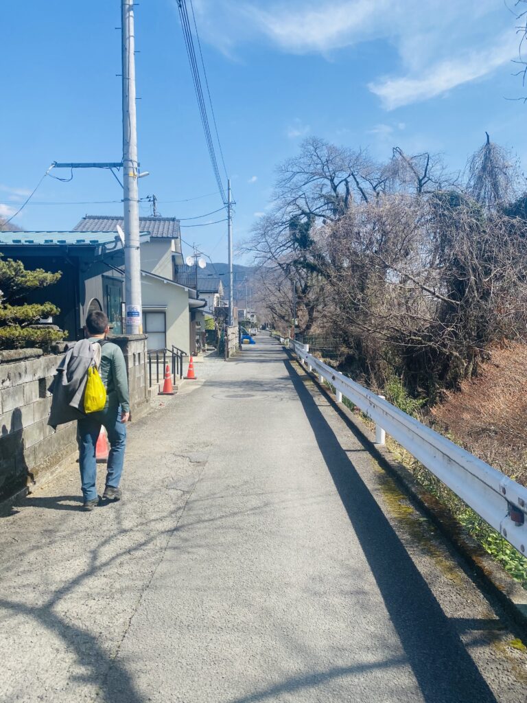 JR御殿場線、山北駅へ向かう桜並木