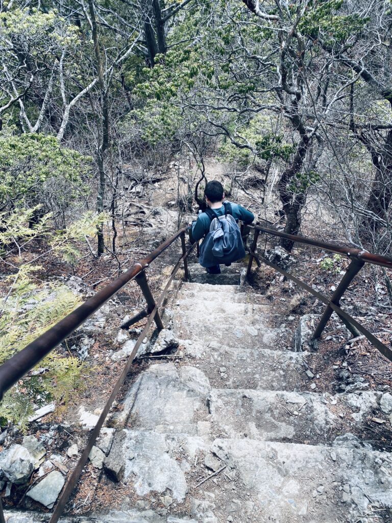 三峯神社の奥宮から急な階段を下山する様子