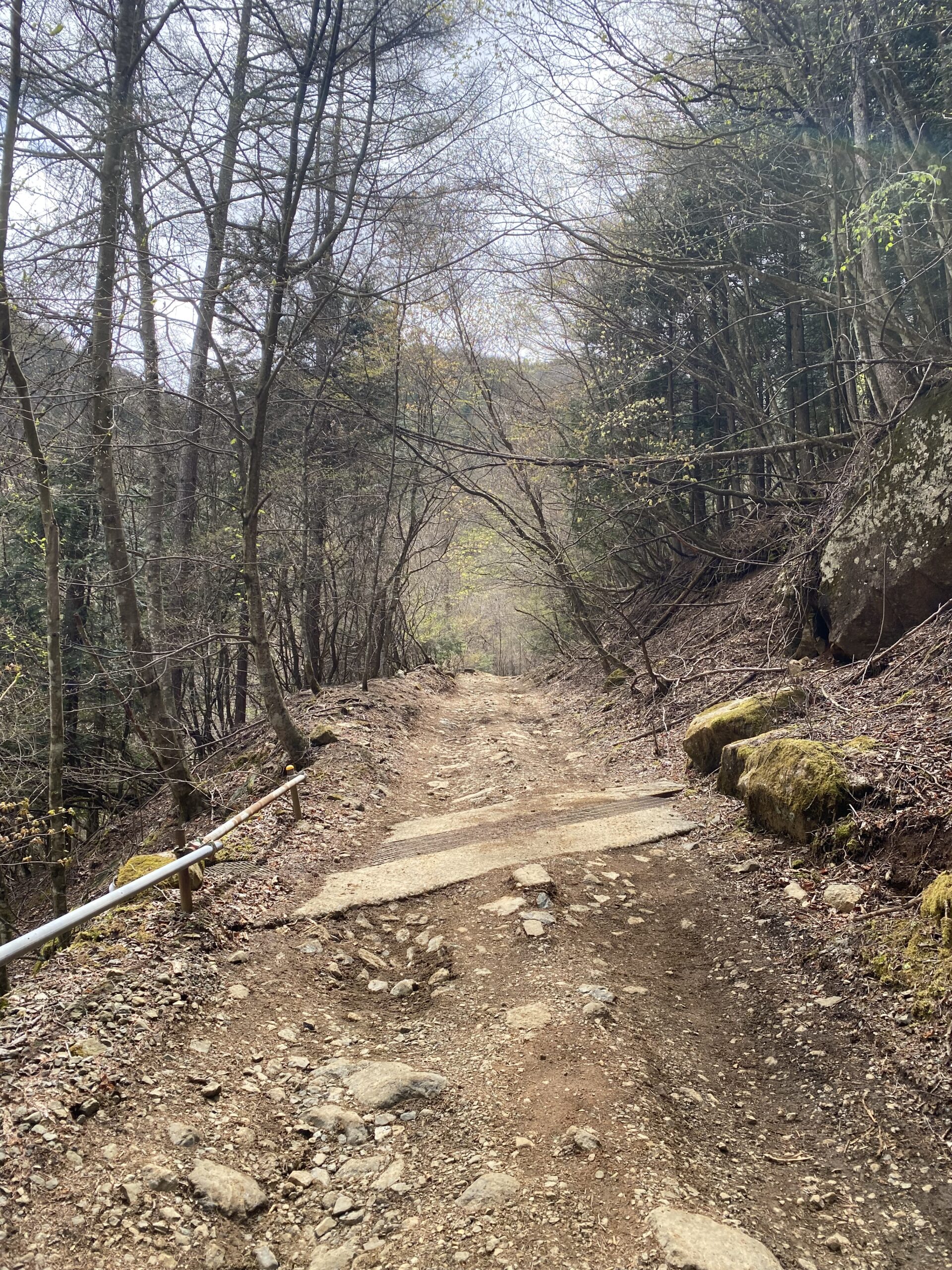 三ツ峠山登山道