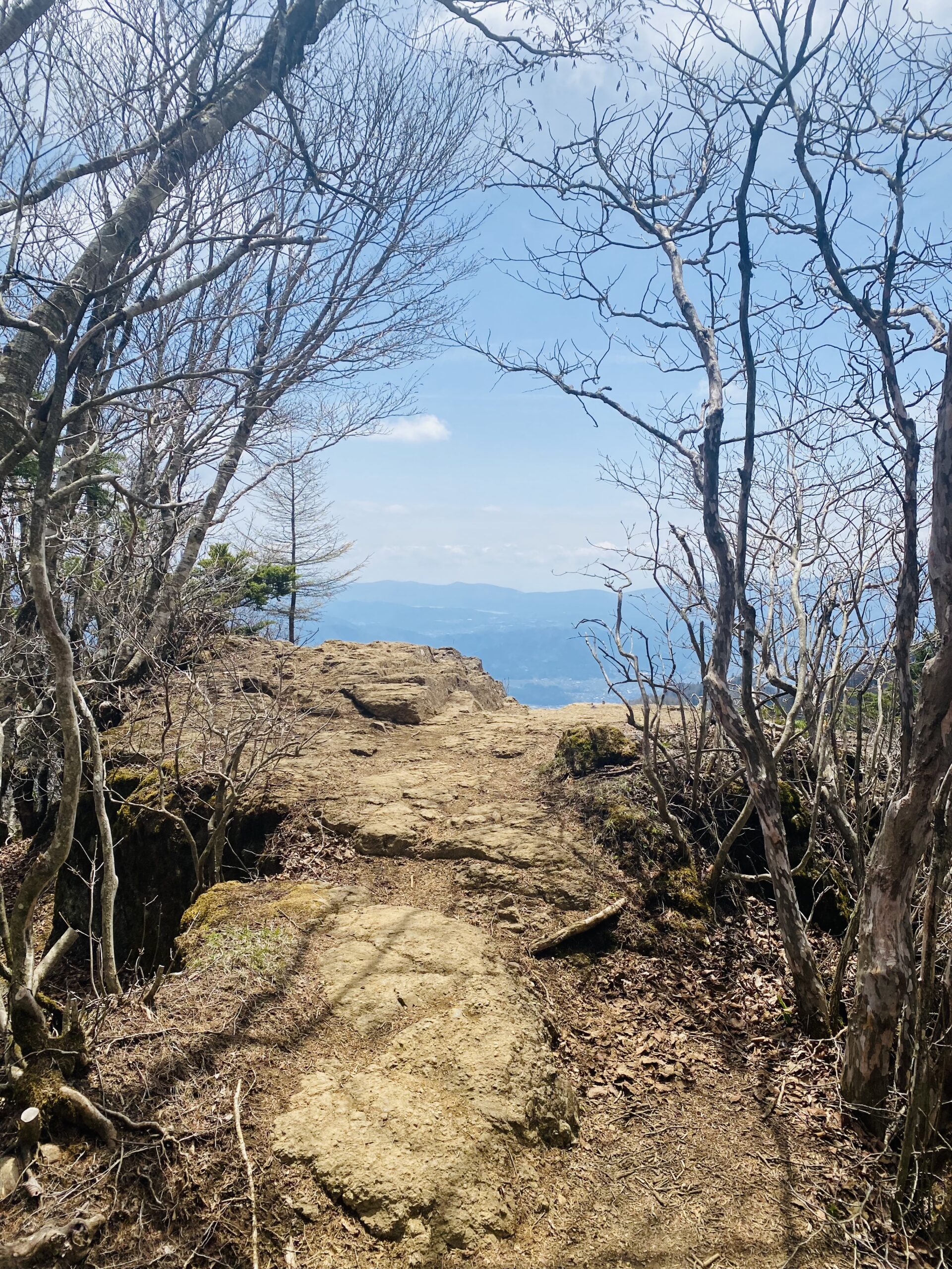 三ツ峠山の隠れビュースポット