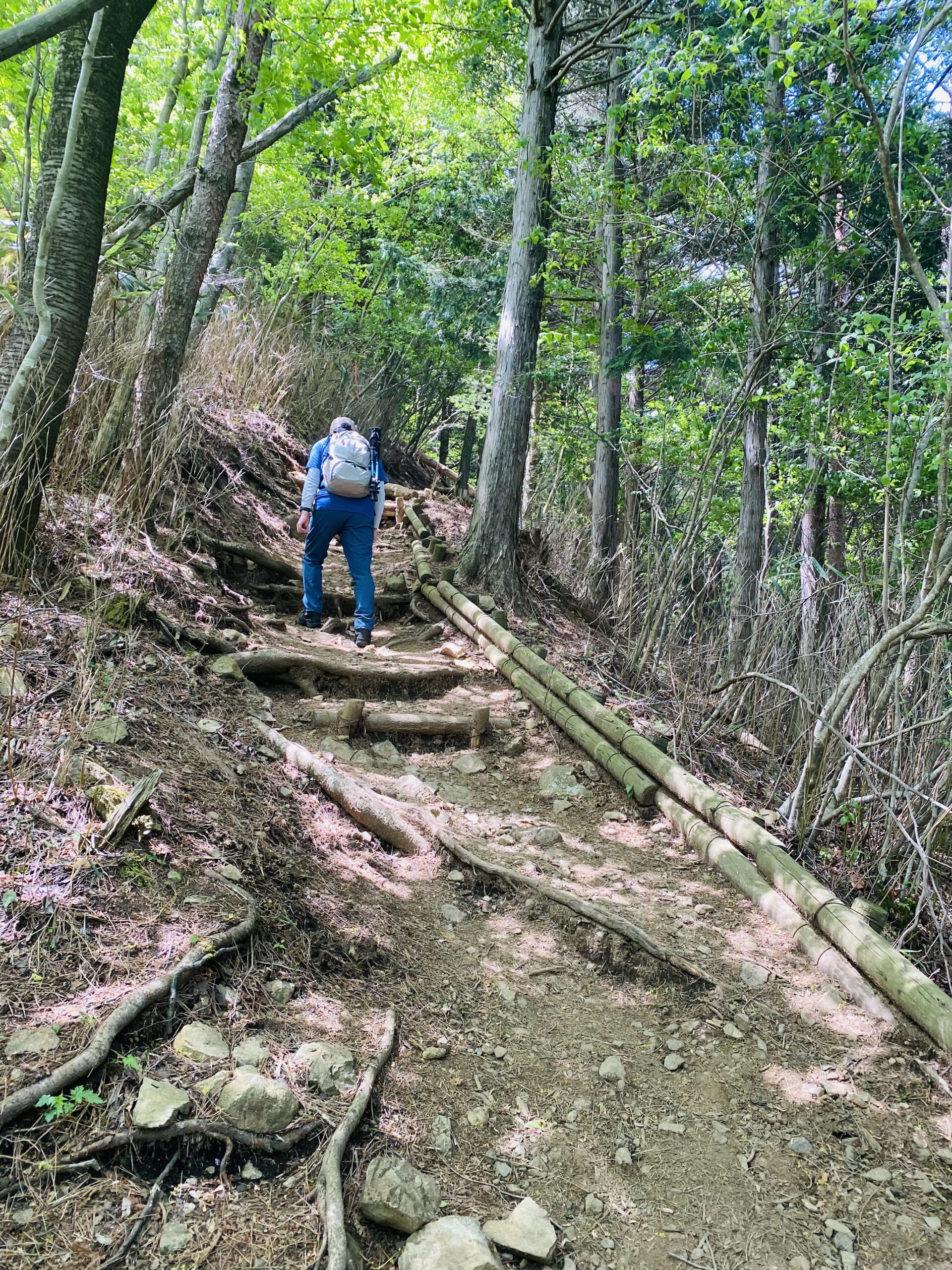 山梨県の竜ヶ岳の登山道