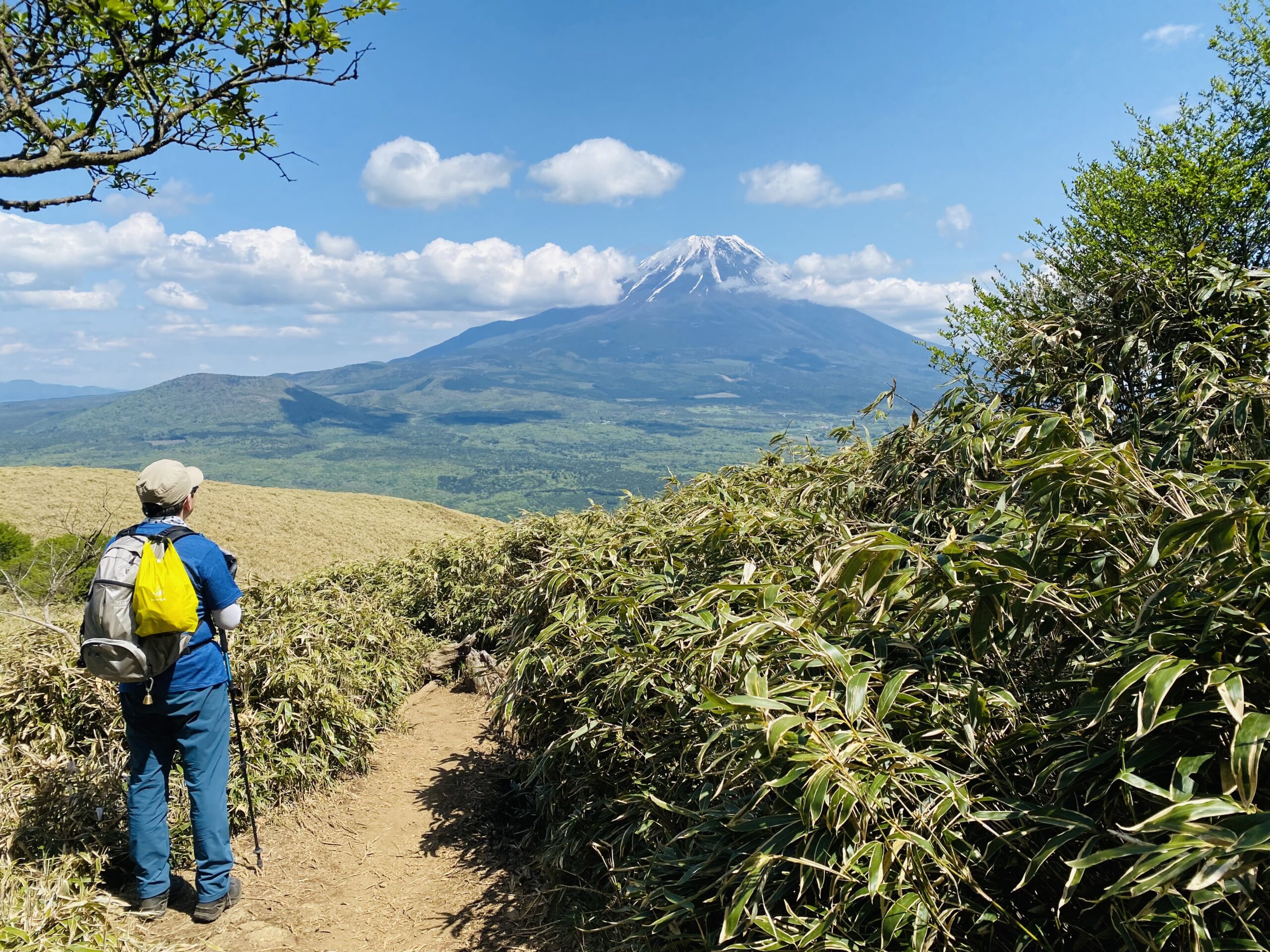 山梨県の百名山「竜ヶ岳」から望む絶景の富士山