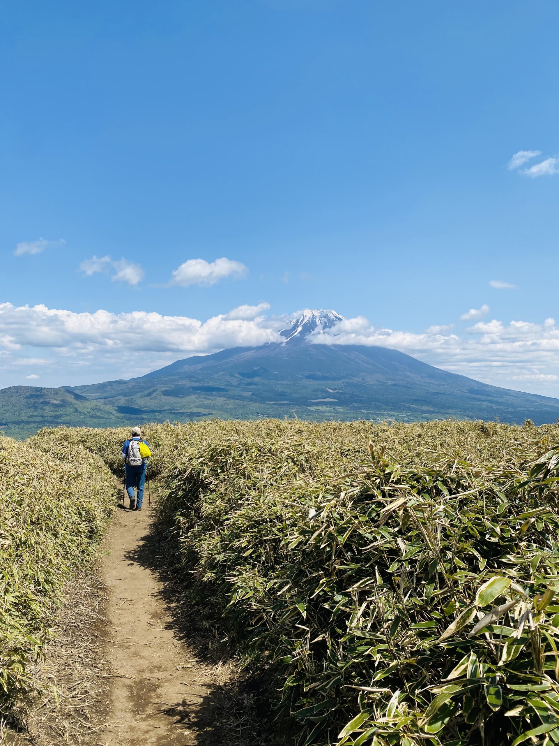 山梨県の竜ヶ岳登山道からの富士山の絶景
