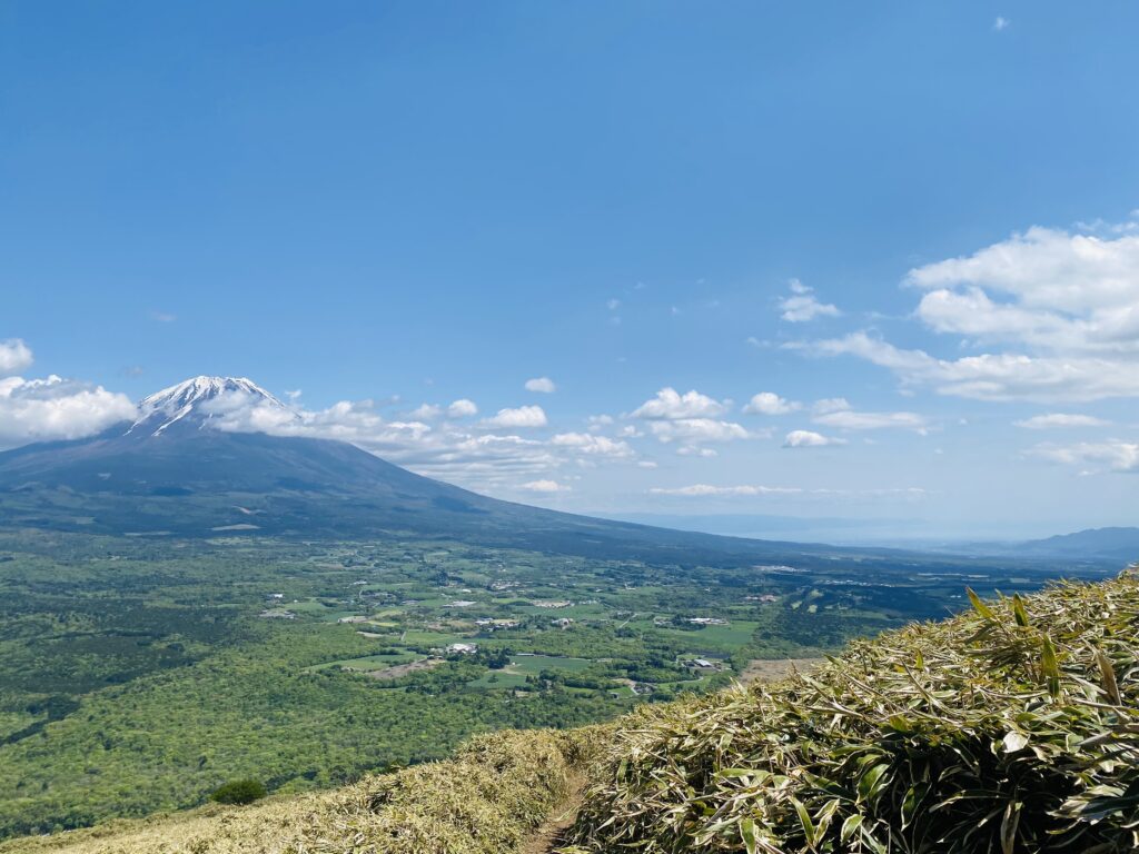 山梨県の竜ヶ岳登山道からの富士山の絶景と樹海