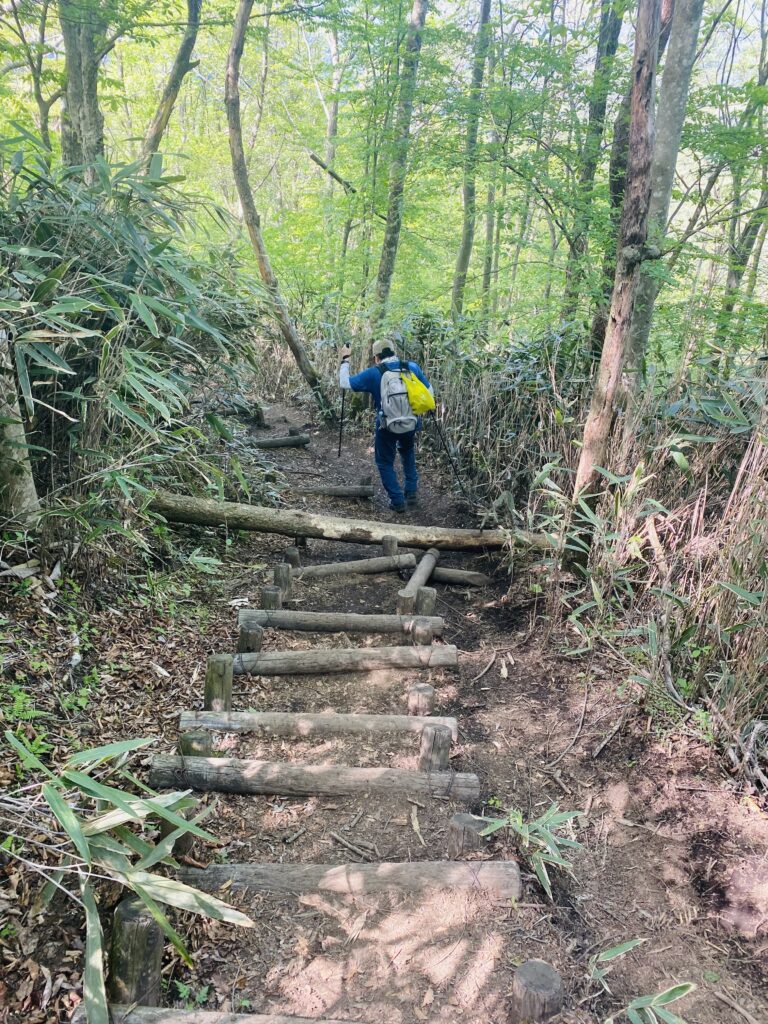 山梨県、竜ヶ岳の下山道の様子