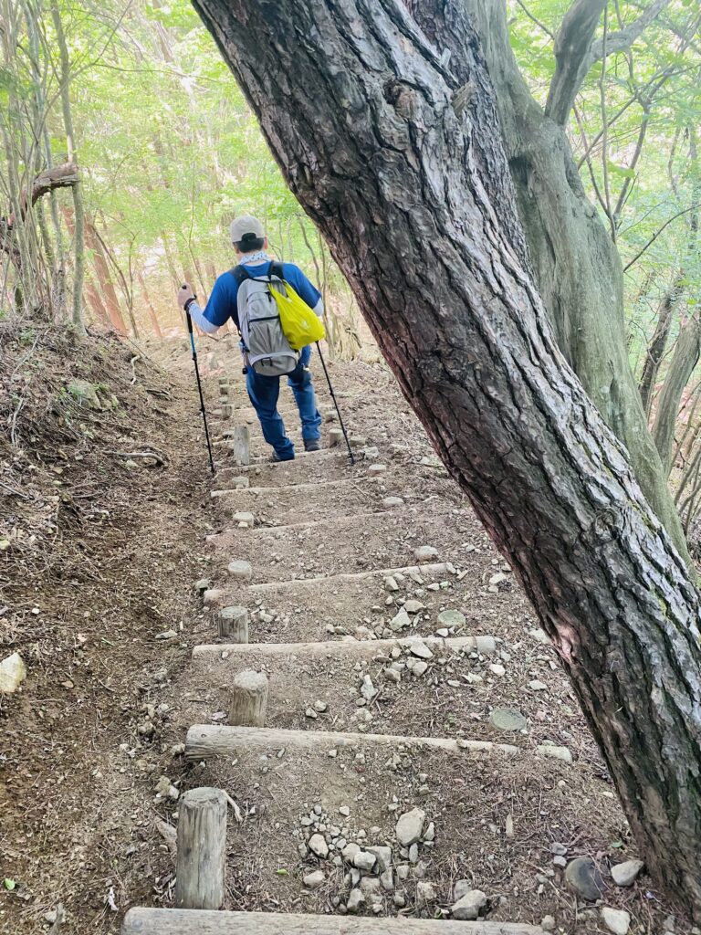 山梨県、竜ヶ岳の下山道の様子