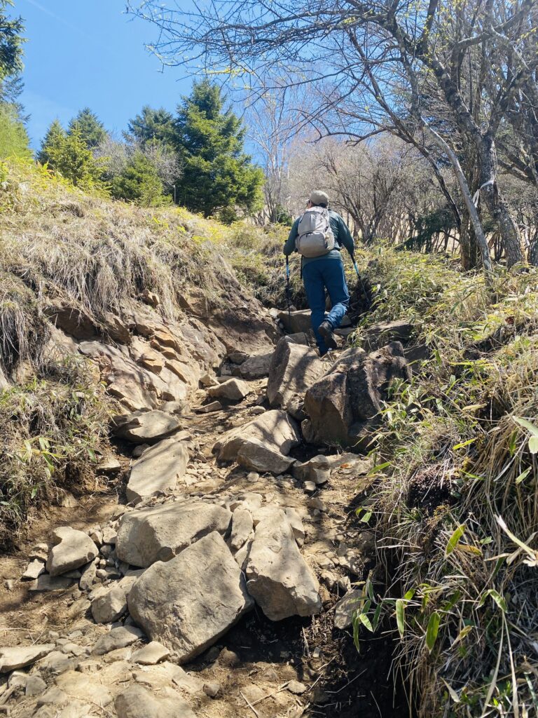 大菩薩嶺の登山道