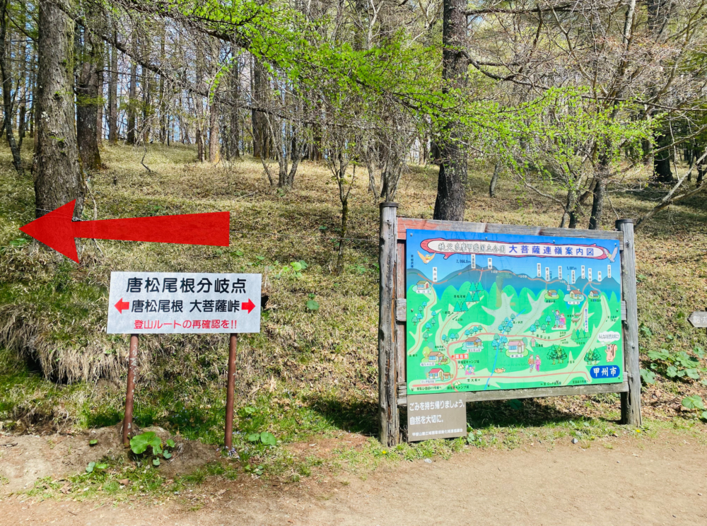 山梨県、大菩薩嶺。唐松尾根分岐点