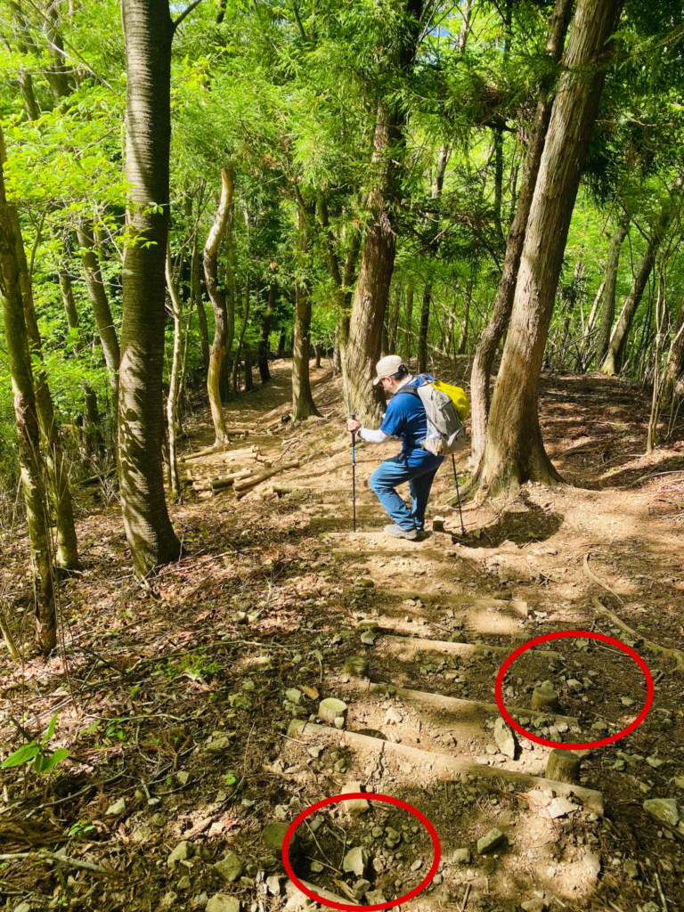 山梨県、竜ヶ岳の下山道の様子