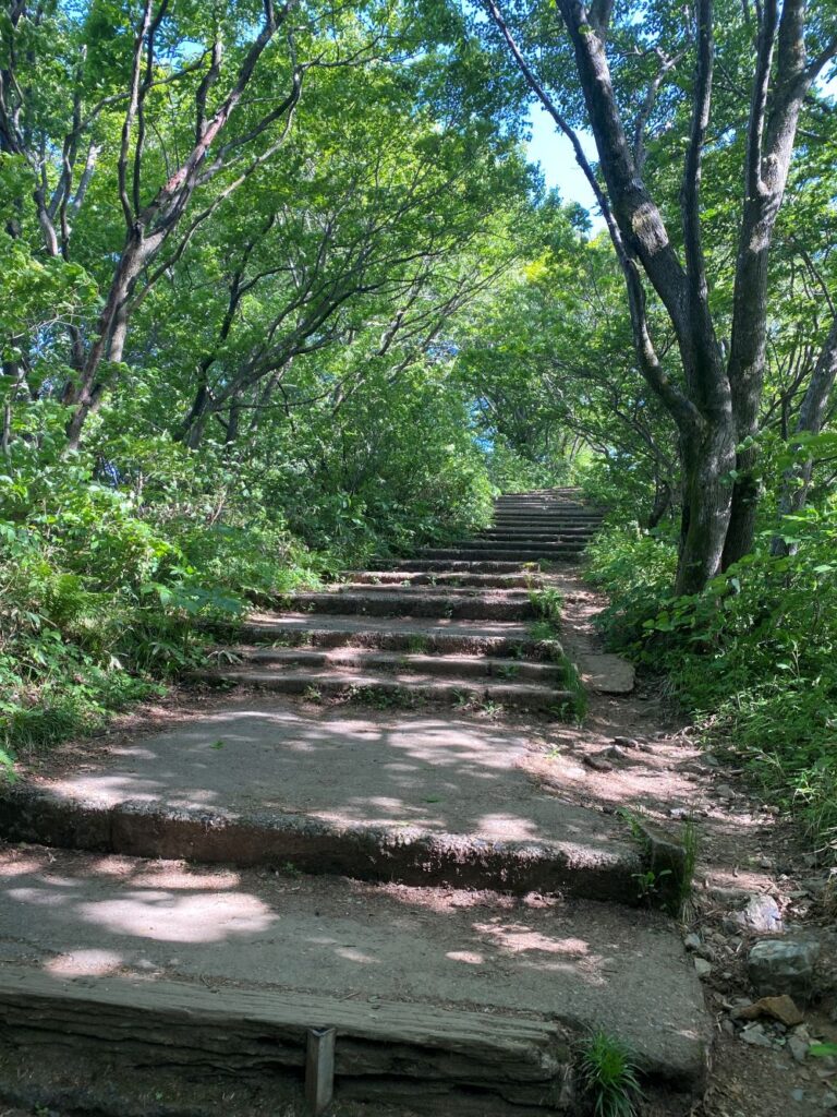 弥彦神社奥宮までの登山道