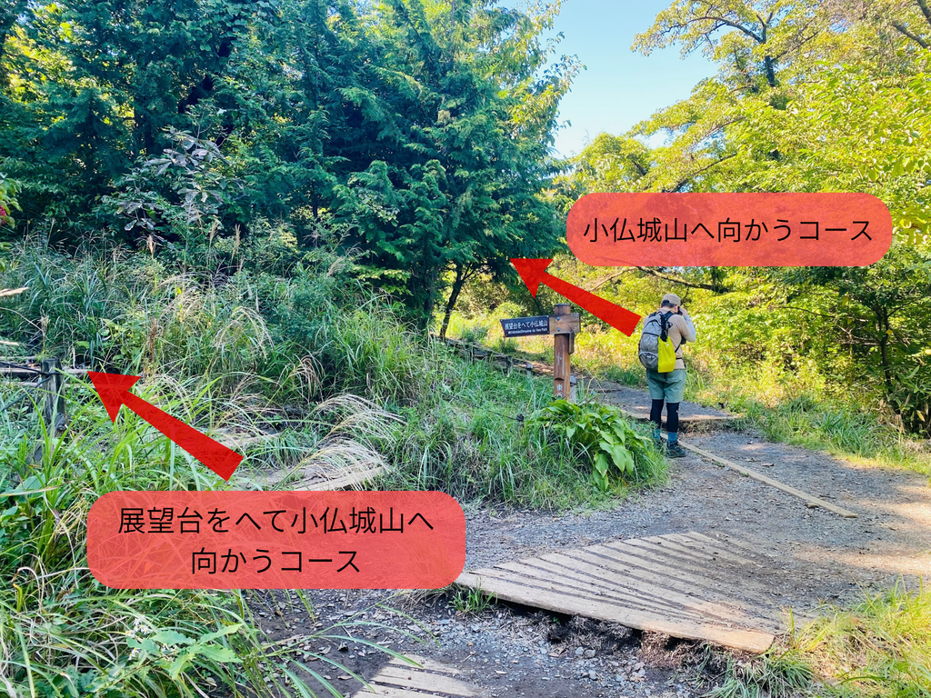 「展望台をへて小仏城山へ向かうコース」と「小仏城山へ向かうコース」の分岐