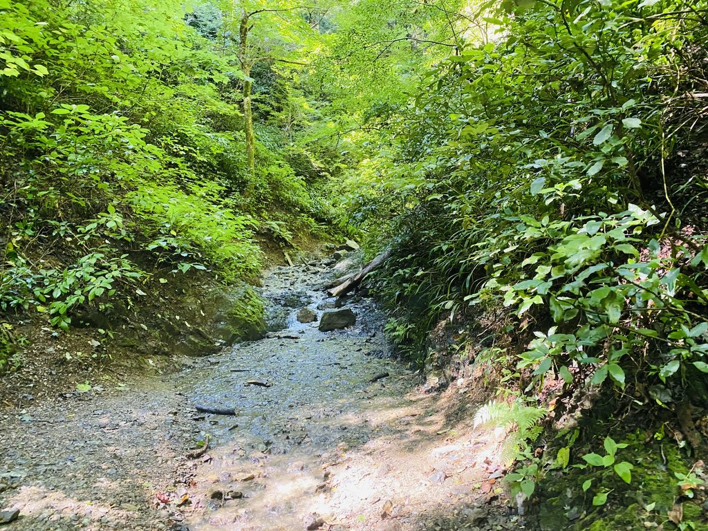 6号路の沢登り入り口