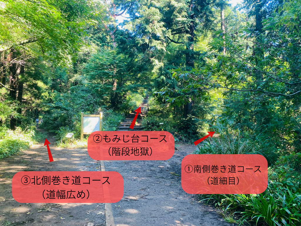 高尾山へ向かう前の3本の分岐