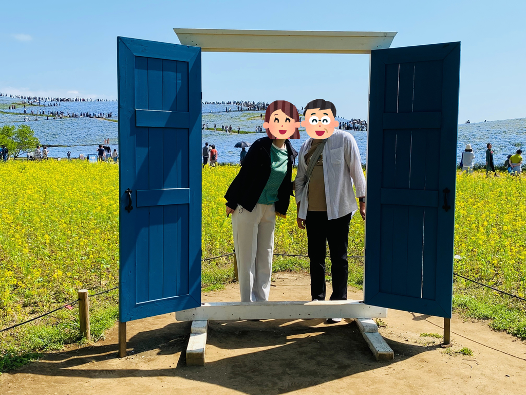 ひたち海浜公園の5月に撮影したネモフィラとどこでもドア