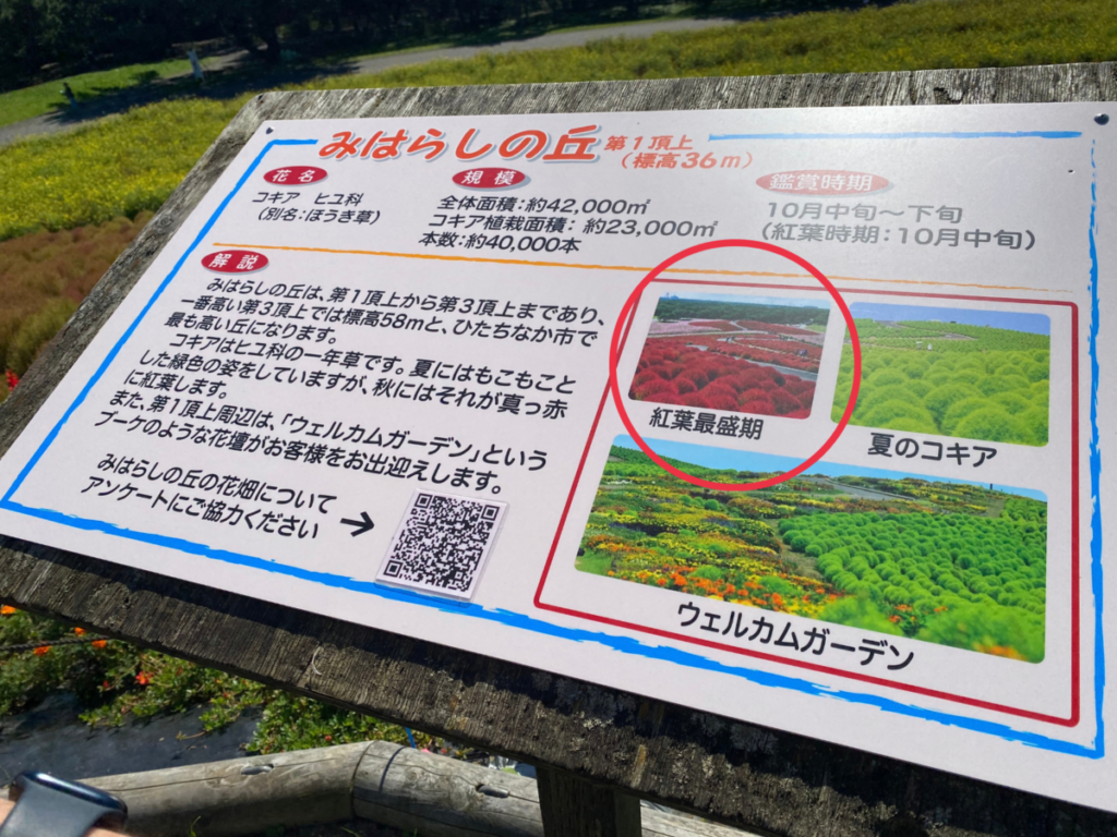 ひたち海浜公園のみはらしの丘にある看板アップ