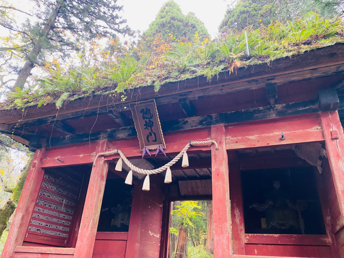 雨の戸隠神社5社巡り。「随神門」