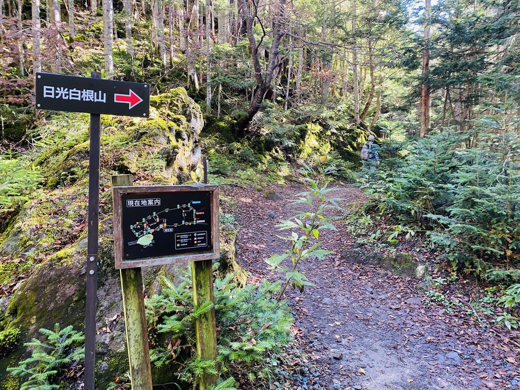 日光白根山山頂への登山ルート