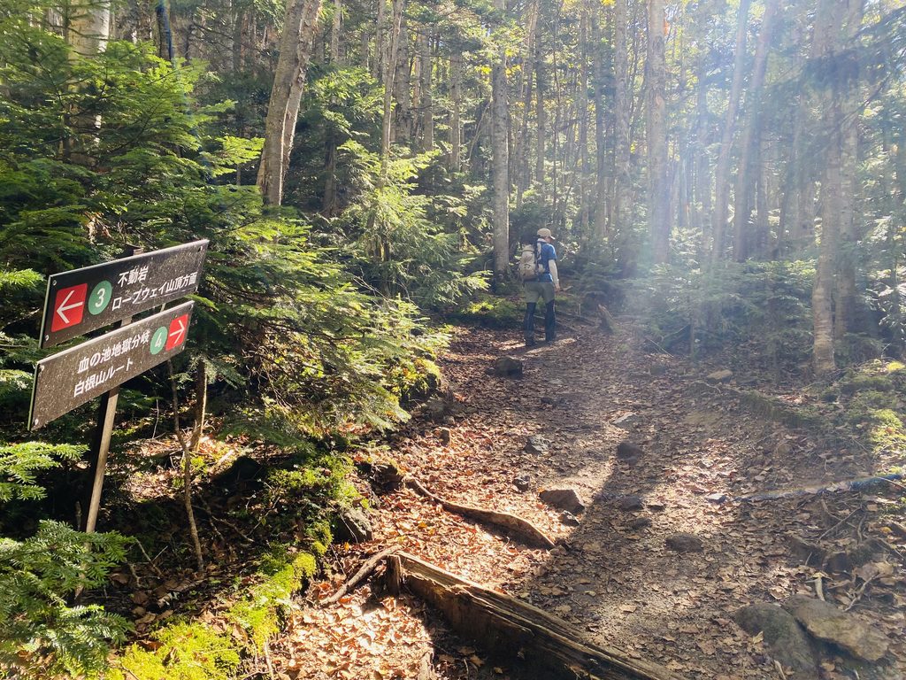 日光白根山山頂への登山ルート