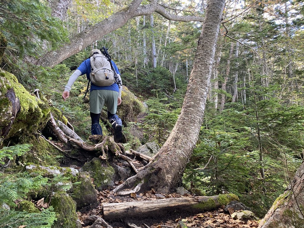 日光白根山山頂への登山ルート