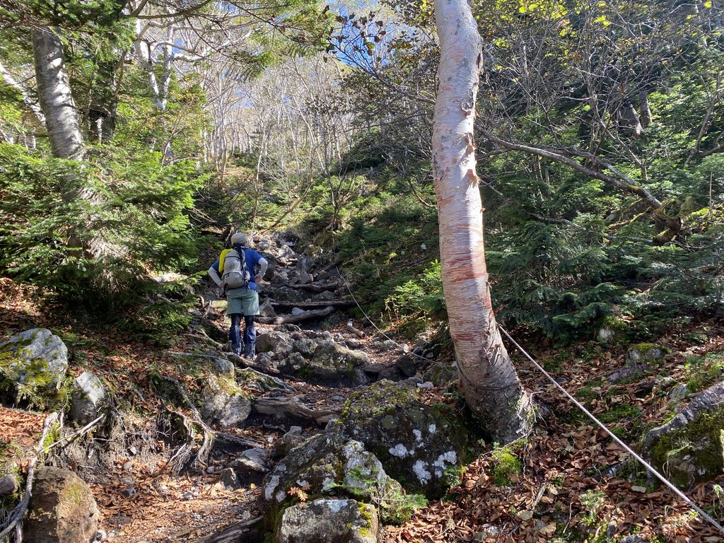 日光白根山山頂への登山ルートの様子