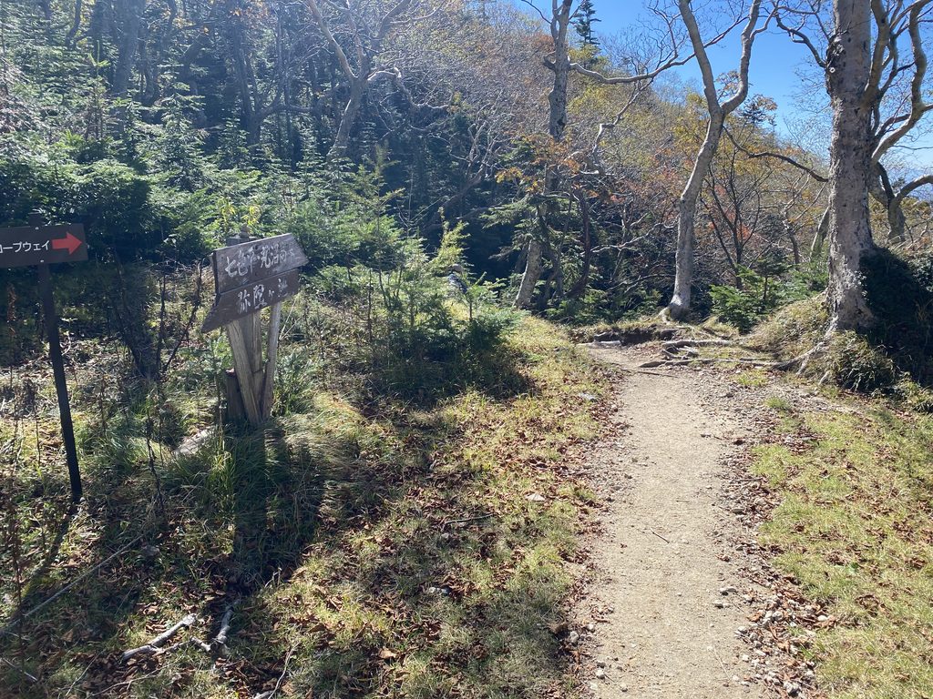 日光白根山下山の際の分岐