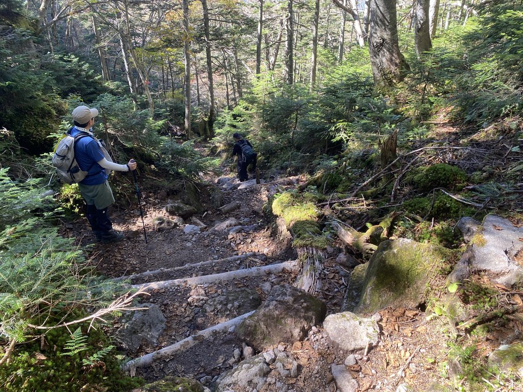 日光白根山下山の様子、樹林帯の下り