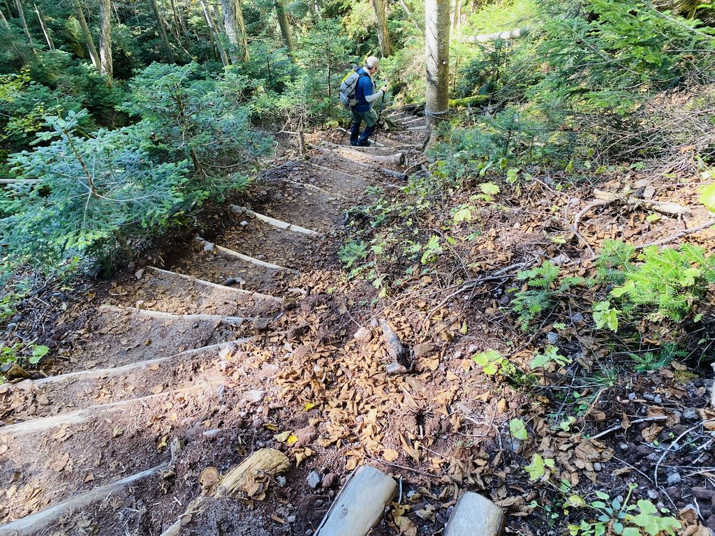 日光白根山下山の様子、樹林帯の下り