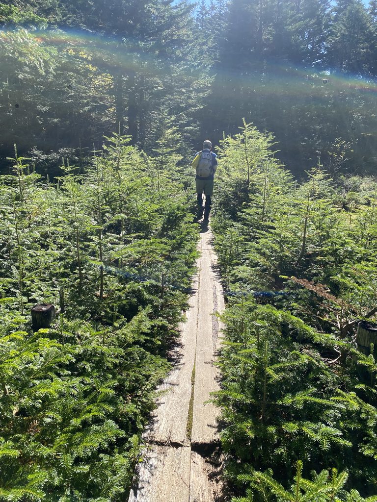 日光白根山下山の様子