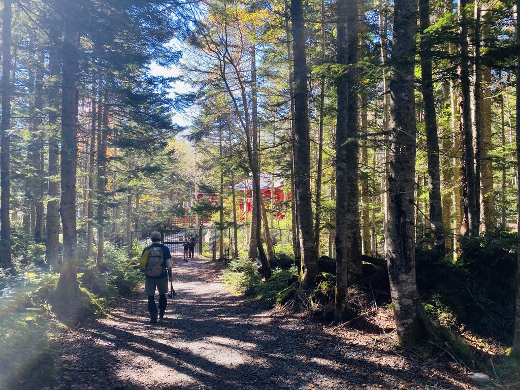 日光白根山下山道