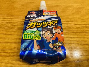 エネルギー補給に「ガッズギア」