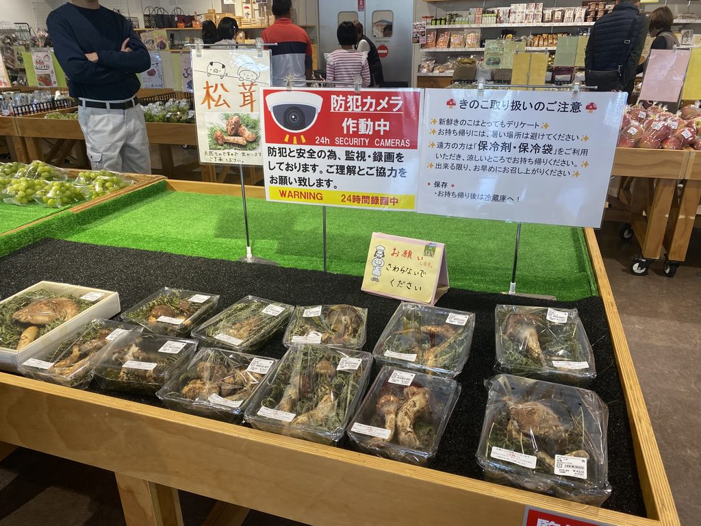 道の駅南信州とよおかマルシェの「松茸」の陳列棚の様子