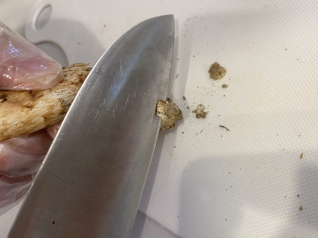 松茸の石づきを包丁で削いでいる様子
