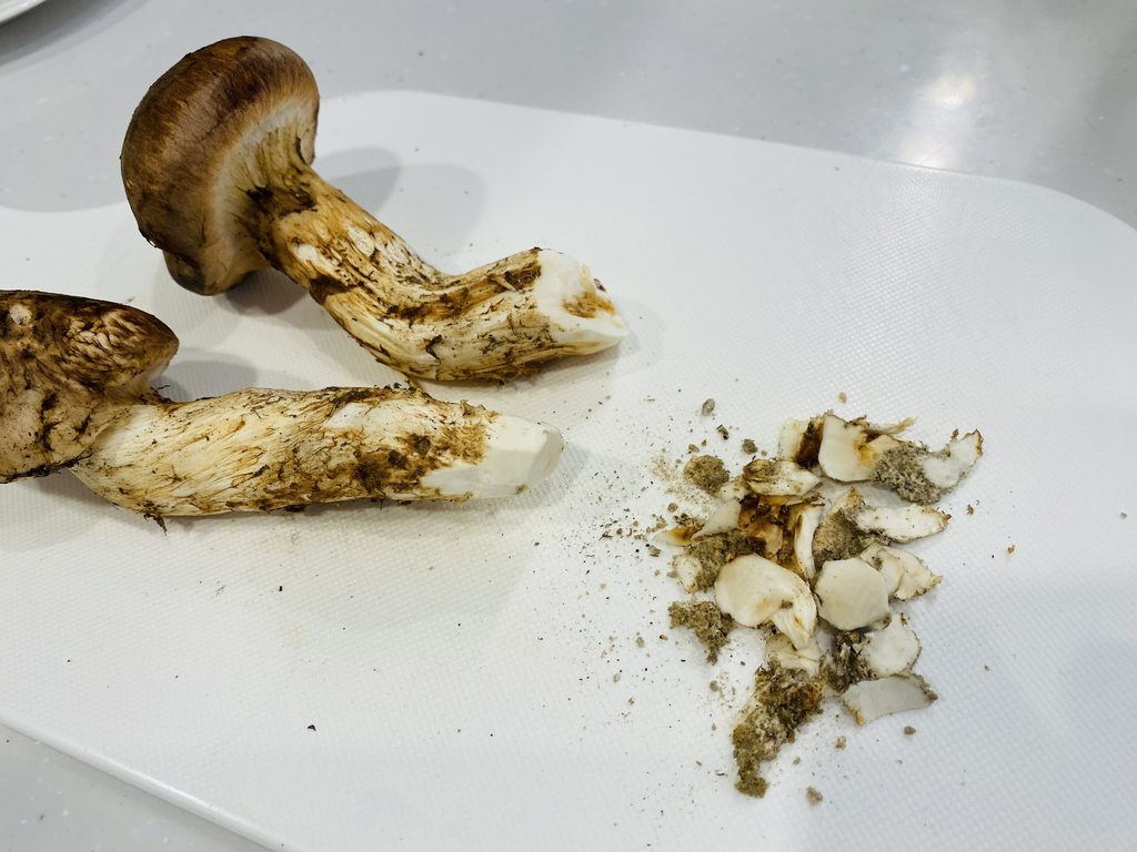 石づきを取り除いた状態の松茸