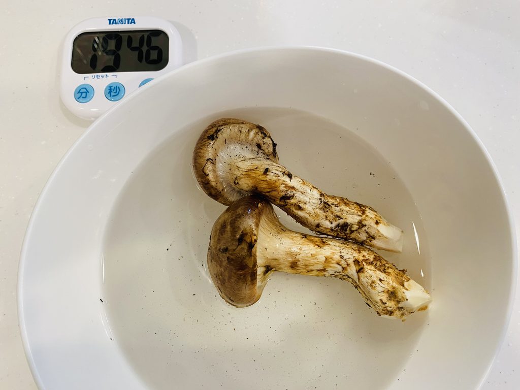 塩水で虫出しをしている松茸