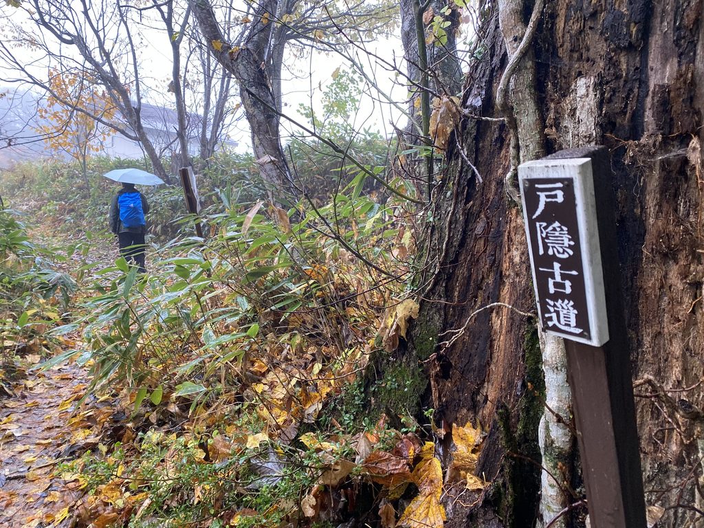 戸隠古道の標識