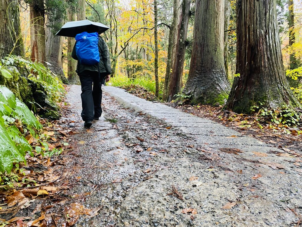 奥社へ向かう登山道