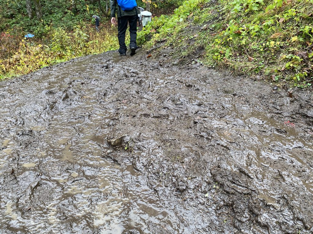 奥社へ向かう登山道、迂回道のぬかるみの様子