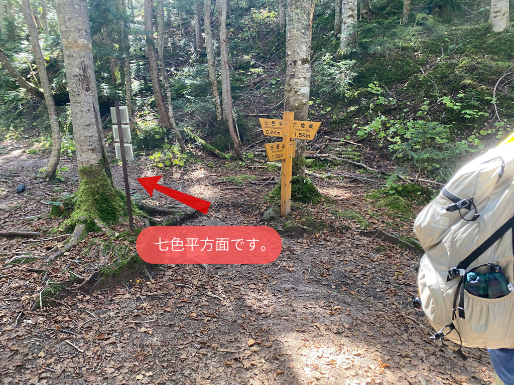 日光白根山下山の様子、分岐