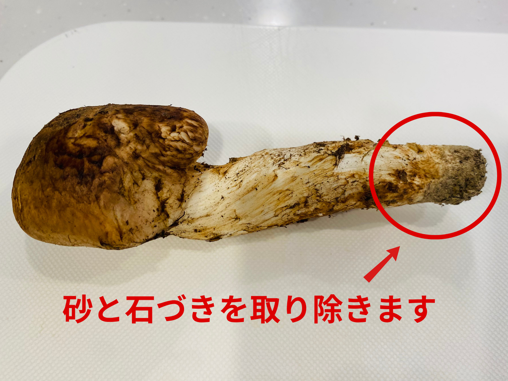 松茸下処理の様子